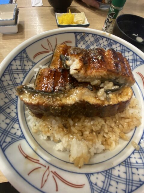 大ぶりなうなぎなので食べ応えがあります